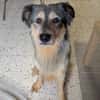 DOLY