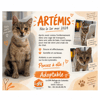 ARTEMIS