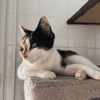kiara (Réservée)