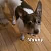 MANNY