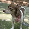 MANNY