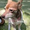 MANNY