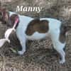 MANNY