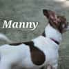 MANNY
