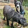 Salome sucht ihre Familie ❤