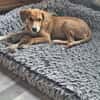 Jette sucht ihre Familie