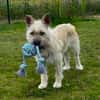 NETTI -kleine Strahlemaus-