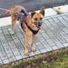 LUCY die freundlichewartet im Vogtland