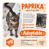 PAPRIKA (Rservée)