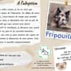 Fripouille