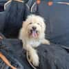 TOSHI braucht Liebe und etwas Geduld