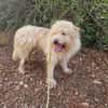 TOSHI braucht Liebe und etwas Geduld