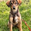 Fia sucht ihre Familie