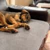 Fia sucht ihre Familie