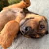 Fia sucht ihre Familie