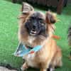 Miron - Zuhause gesucht