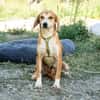 Storm sucht liebevolle Familie...