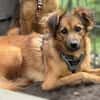 Hazel sucht liebevolle Familie...