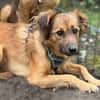 Hazel sucht liebevolle Familie...