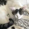 HUGGY