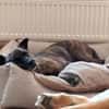 GRETA -Sonnenschein mit viel Charme-