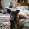 GRETA -Sonnenschein mit viel Charme-