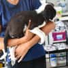 Sibilla sucht engen Familienanschluss