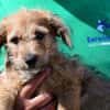 Wird Alessia Ihr neues Familiemmitglied?