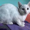 CASPER