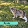 BONNY