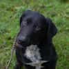 Der wunderbare und unkomplizierte Heiko sucht ein neues Zuha