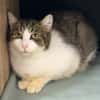 MARIE A17576