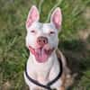 JERRY VAA