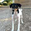 MANNY (MARTINA)