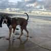 CHARLIE (France)
