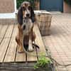 CHARLIE (France)