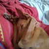 ALFIE (Maria)