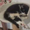 HUGOLIN