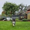 LILA  ein Engel, Pflegefamilie Kevelaer