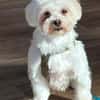 Amalka° 66740 Saarlouis
