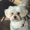 Amalka° 66740 Saarlouis