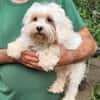 Amalka° 66740 Saarlouis