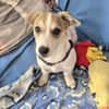 Hallo! Ich bin Peanut und suche Dich :-)