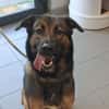 USKA