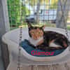 Glamour