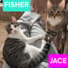 JACE ET FISHER À ADOPTER ENSEMBLE