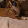 Luna sucht ihre Familie