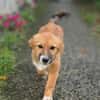 Luna sucht ihre Familie