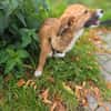 Luna sucht ihre Familie