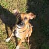 Soziale GINA liebt die MenschenPLZ 64807